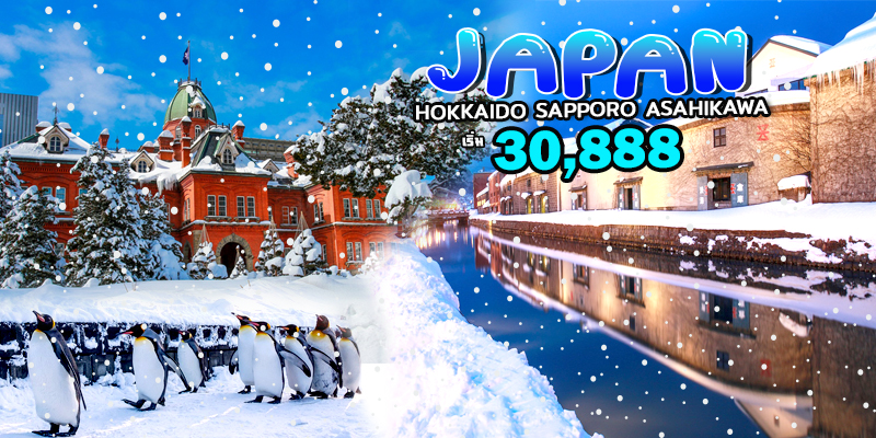 หิมะ ฮอกไกโด หิมะ ฮอกไกโด