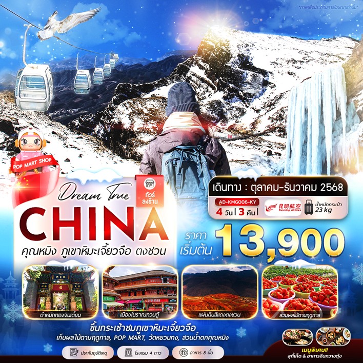 ทัวร์จีน