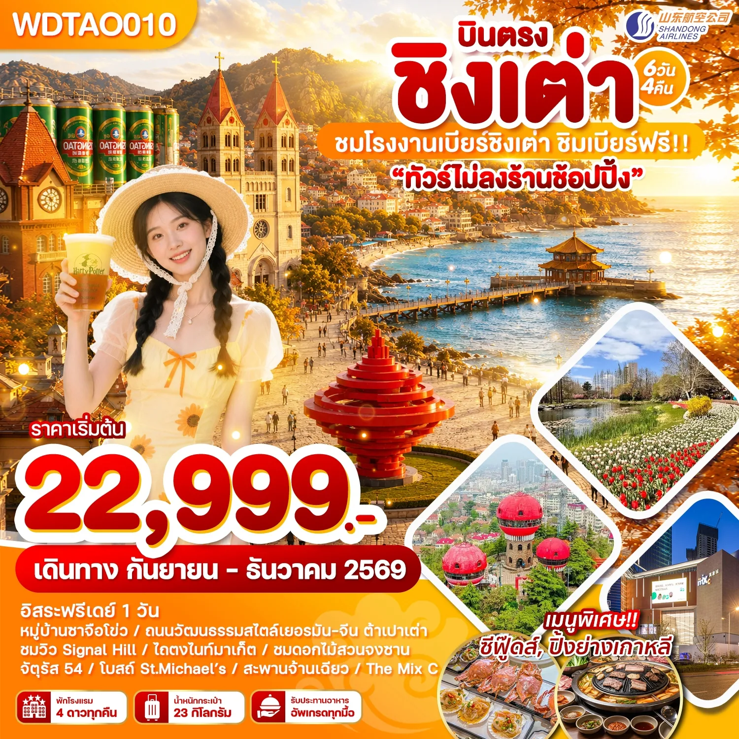 ทัวร์จีน