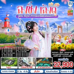 ทัวร์จีน