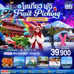 ทัวร์ญี่ปุ่น