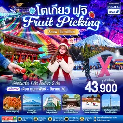 ทัวร์ญี่ปุ่น