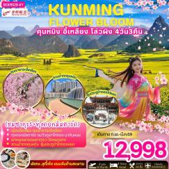 ทัวร์จีน