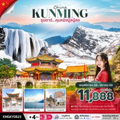 ทัวร์จีน