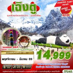 ทัวร์จีน