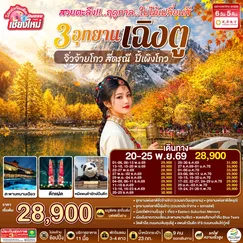 ทัวร์จีน