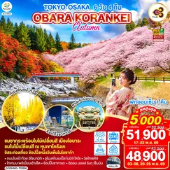 ทัวร์ญี่ปุ่น