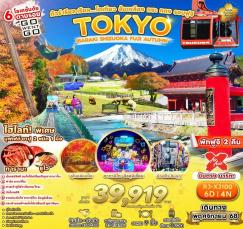 ทัวร์ญี่ปุ่น