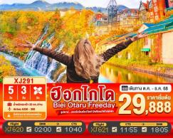 ทัวร์ญี่ปุ่น