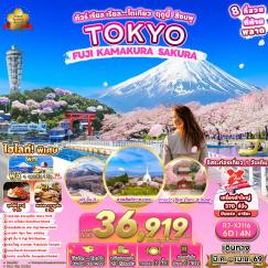 ทัวร์ญี่ปุ่น