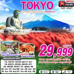 ทัวร์ญี่ปุ่น