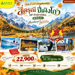 ทัวร์จีน