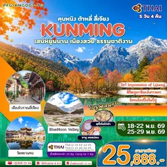 ทัวร์จีน