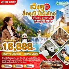 ทัวร์จีน
