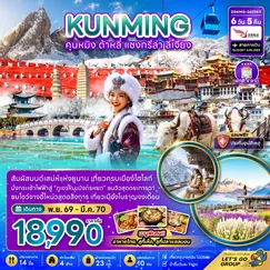 ทัวร์จีน
