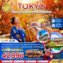 ทัวร์ญี่ปุ่น