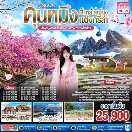 ทัวร์จีน