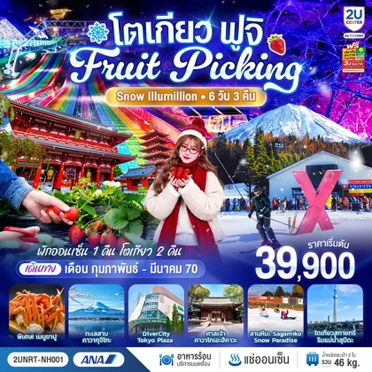 ทัวร์ญี่ปุ่น โตเกียว ฟูจิ FRUIT PICKING SNOW Illumillion 6 วัน 3 คืน โดยสายการบินออล นิปปอน แอร์เวย์ ทัวร์ญี่ปุ่น
