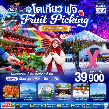 ทัวร์ญี่ปุ่น โตเกียว ฟูจิ FRUIT PICKING SNOW Illumillion 6 วัน 3 คืน โดยสายการบินออล นิปปอน แอร์เวย์ ทัวร์ญี่ปุ่น