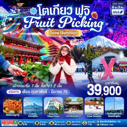 ทัวร์ญี่ปุ่น