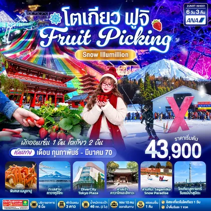 ทัวร์ญี่ปุ่น