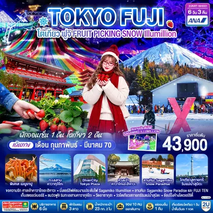 ทัวร์ญี่ปุ่น TOKYO FUJI โตเกียว ฟูจิ FRUIT PICKING SNOW Illumillion 6 วัน 3 คืน โดยสายการบินออล นิปปอน แอร์เวย์ ทัวร์ญี่ปุ่น