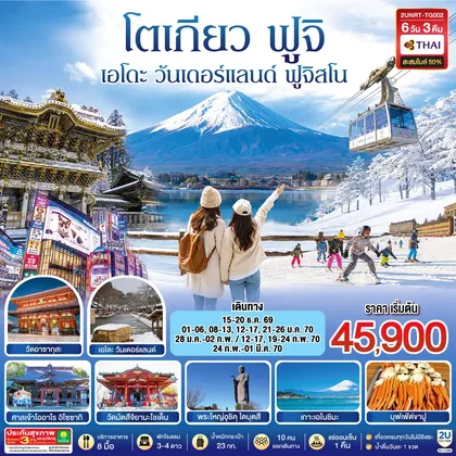 ทัวร์ญี่ปุ่น โตเกียว นิกโก้ เอโดะ วันเดอร์แลนด์ ฟูจิสโน 6วัน 3คืน โดยสายการบินไทย (TG) ทัวร์ญี่ปุ่น