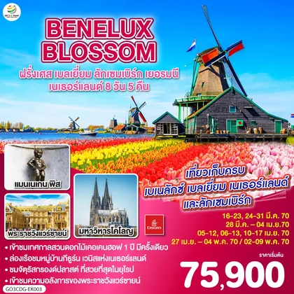 ทัวร์ยุโรป BENELUX BLOSSOM ฝรั่งเศส เบลเยี่ยม ลักเซมเบิร์ก เยอรมนี เนเธอร์แลนด์ 8วัน 5คืน โดยสายการบิน Emirates (EK) ทัวร์ยุโรป