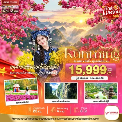 ทัวร์จีน