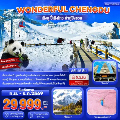 ทัวร์จีน