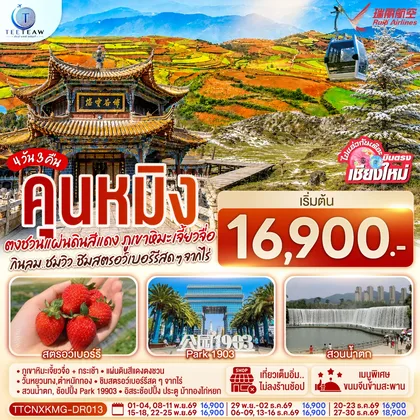 ทัวร์จีน บินตรงเชียงใหม่ คุนหมิง ตงชวน ภูเขาหิมะเจียวจื่อซาน 4 วัน 3 คืน กินลม..ชมวิว..ชิมสตอว์เบอร์รี่สดๆๆจากไร่ โดยสายการบิน Ruili Airlines (DR) ทัวร์จีน