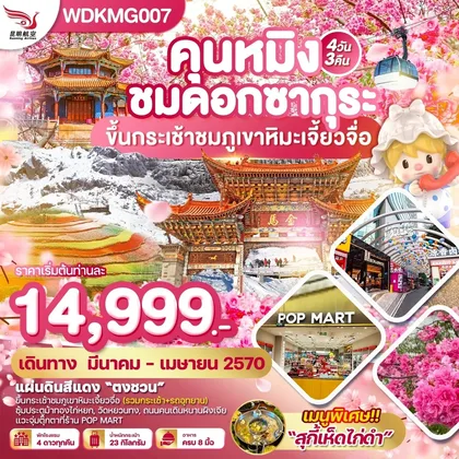 ทัวร์จีน
