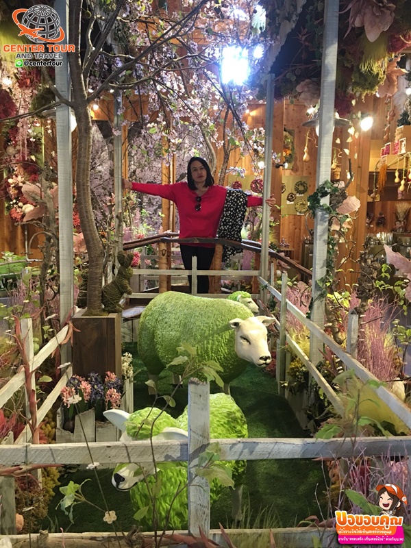 ทัวร์ญี่ปุ่น 