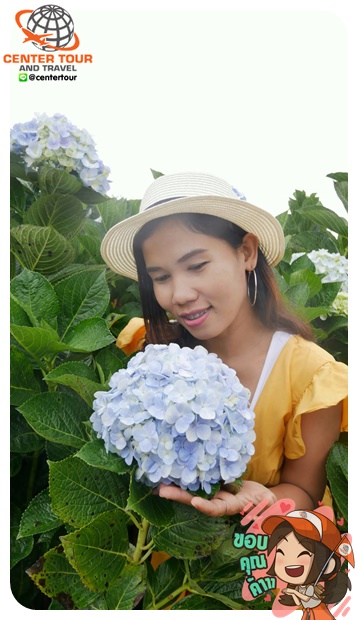 ทัวร์เวียดนาม 