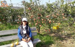 รีวิวลูกค้า ทัวร์เกาหลี