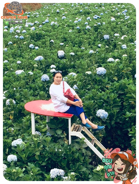 รีวิวลูกค้า ทัวร์เวียดนาม