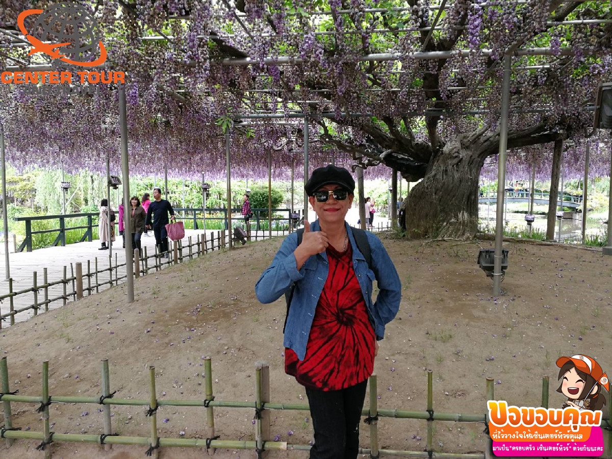 ทัวร์ญี่ปุ่น 