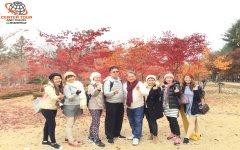 รีวิวลูกค้า ทัวร์เกาหลี