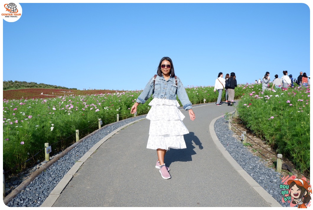 ทัวร์ญี่ปุ่น 