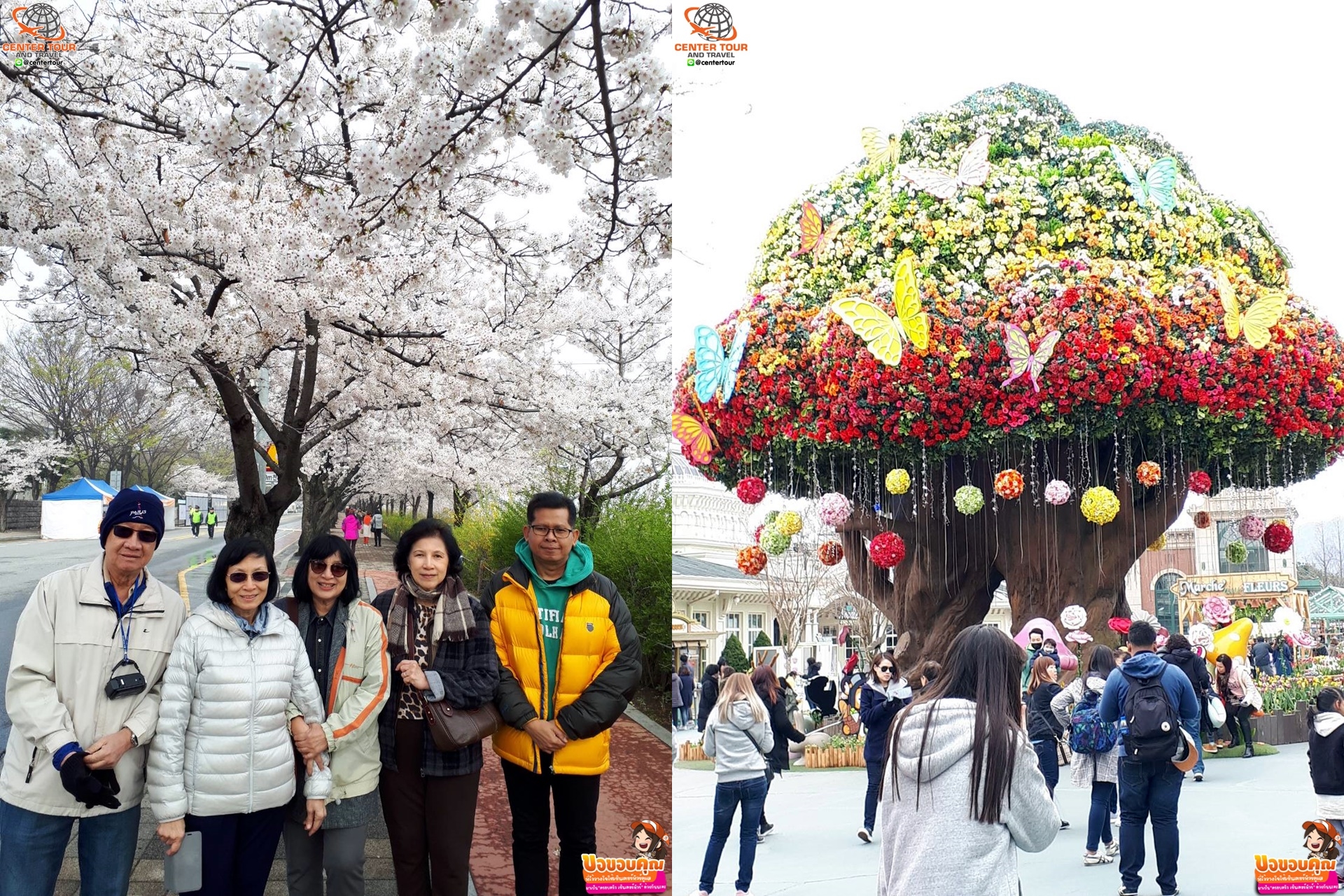 รีวิวลูกค้า ทัวร์เกาหลี