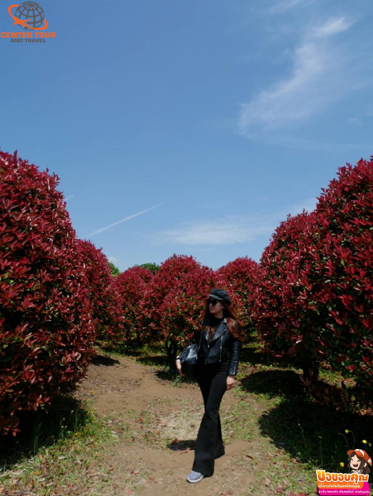 ทัวร์เกาหลี 