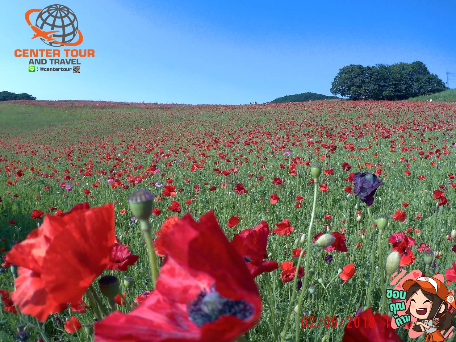 ทัวร์ญี่ปุ่น 