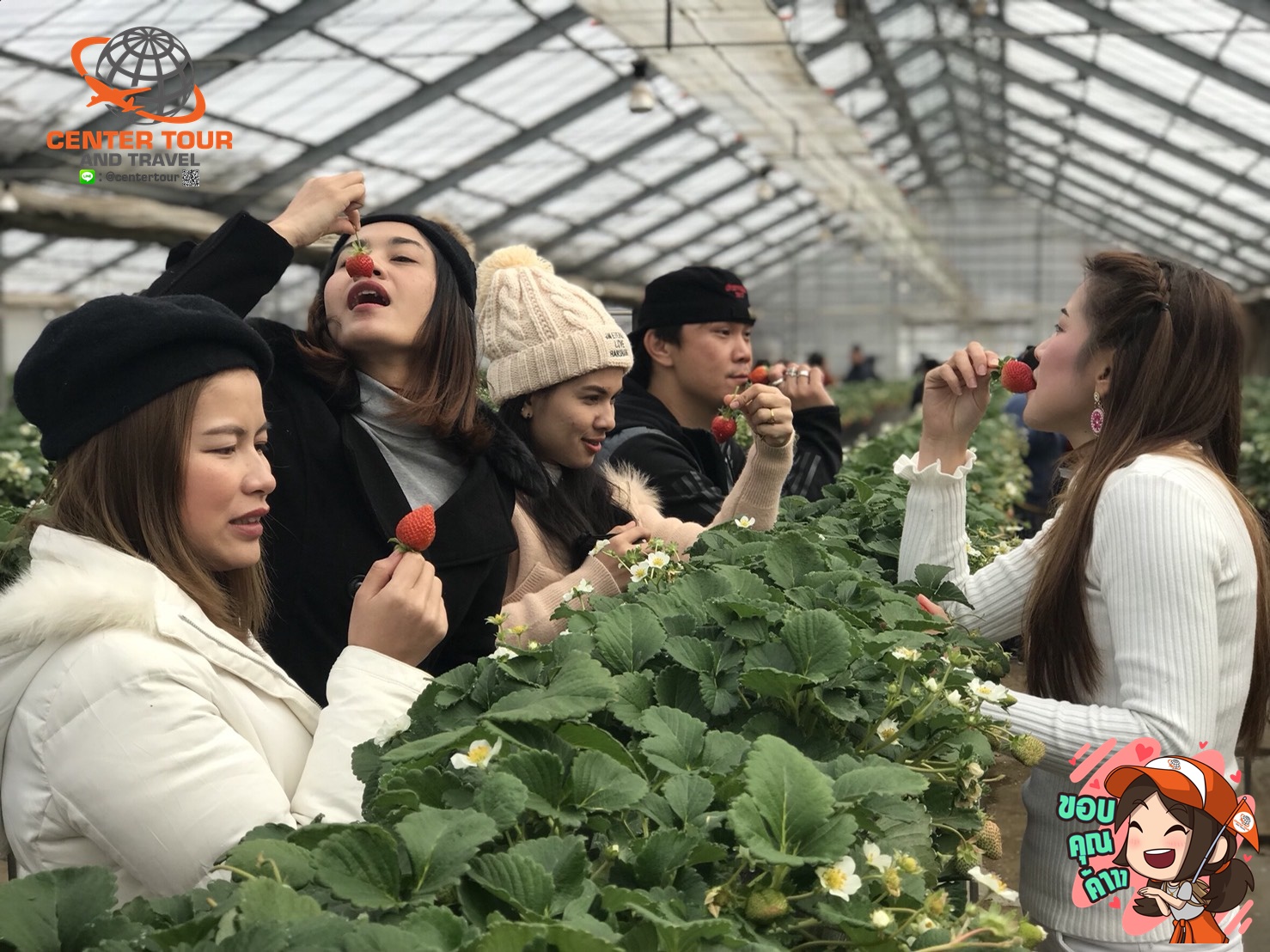 ทัวร์ญี่ปุ่น 