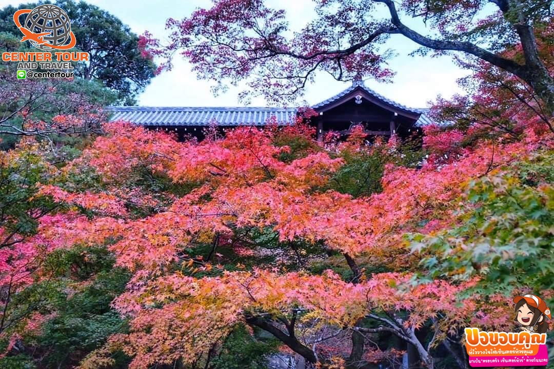 ทัวร์ญี่ปุ่น 