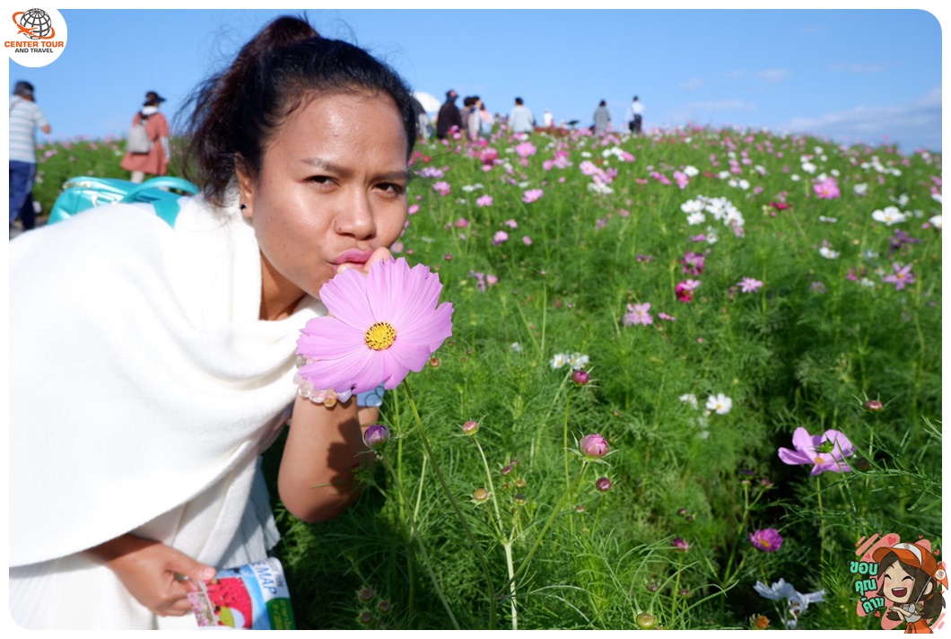 ทัวร์ญี่ปุ่น 