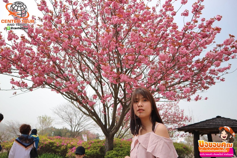 ทัวร์เกาหลี 