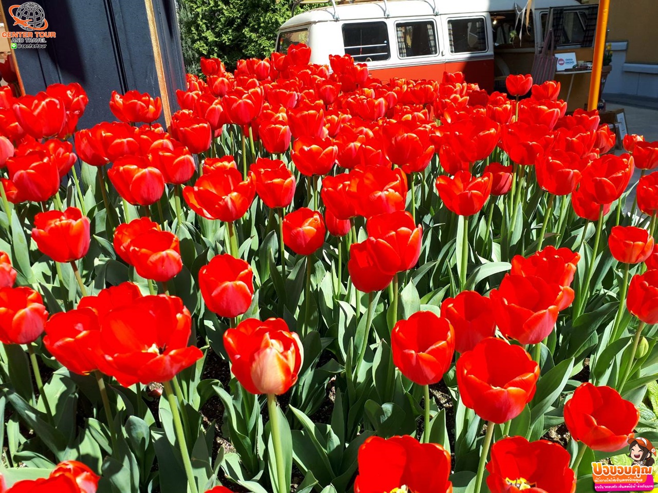 ทัวร์เกาหลี 