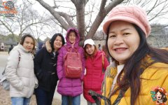 รีวิวลูกค้า ทัวร์ญี่ปุ่น