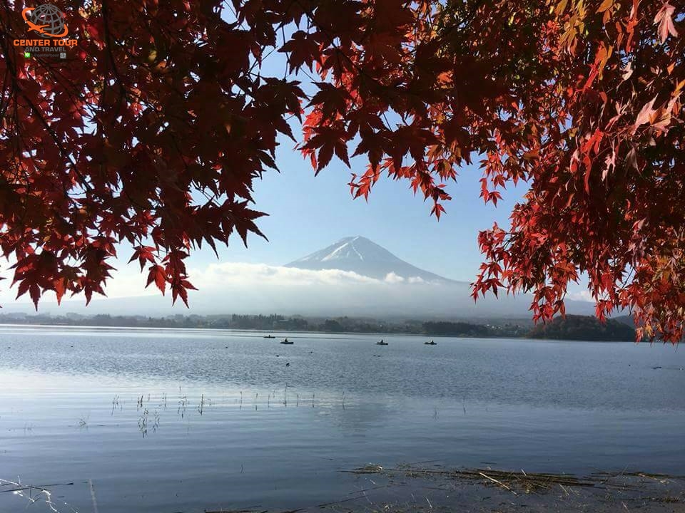 ทัวร์ญี่ปุ่น 