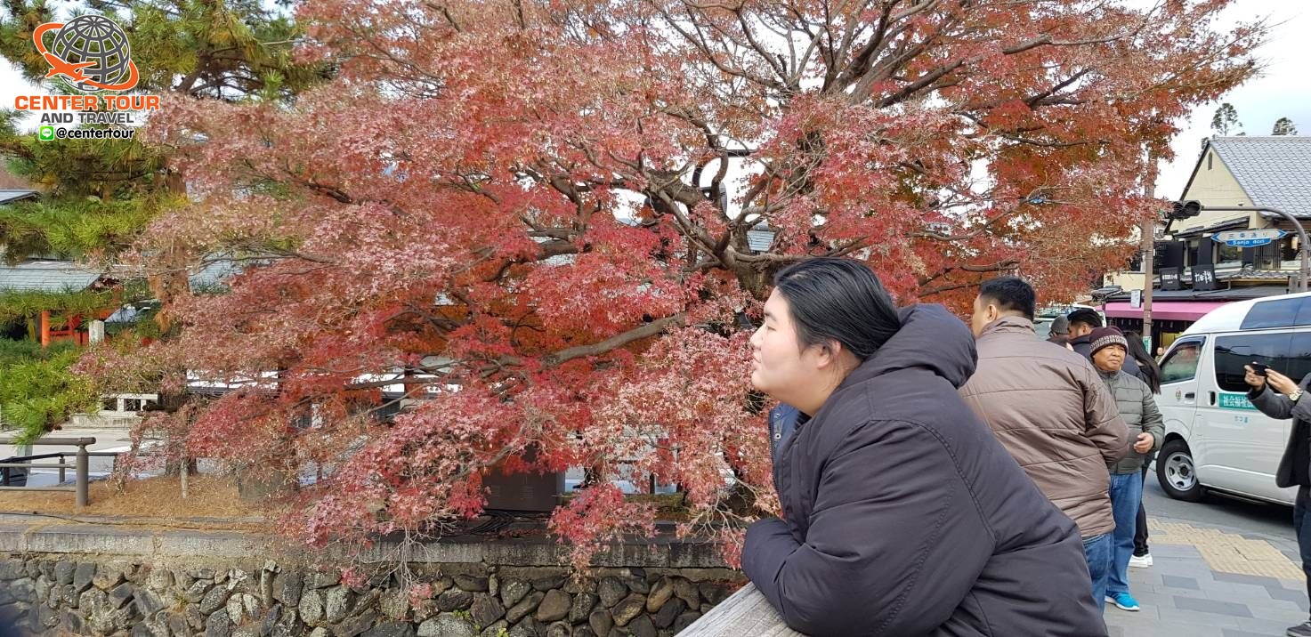 ทัวร์ญี่ปุ่น 